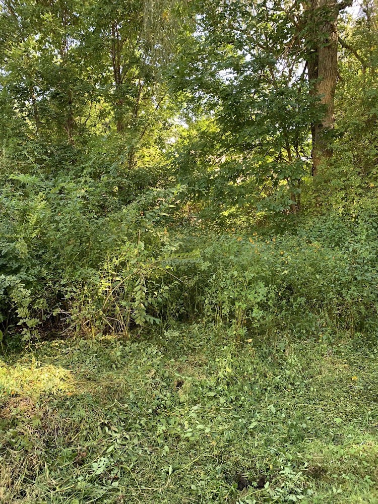 Connecticut Home Improvement